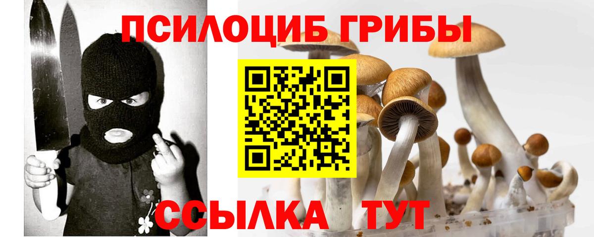 Галлюциногенные грибы Psilocybine cubensis Михайловка
